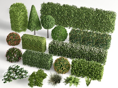 shrub hedge square shrub greenbelt plant combination isolation belt shrub ball shrub 3d model