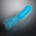 Blue Bacterium Organ Structure With Hair Like Appendages 3D Rendering View 3d model