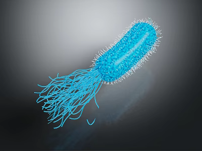 Blue Bacterium Organ Structure With Hair Like Appendages 3D Rendering View 3d model