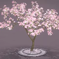Sakura Tree Sakura Tree Cartoon Tree Cartoon Flower 3d model