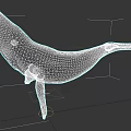 Whale Aquatic Animal 3D Model Featuring Detailed Texture Deep Blue Color And Dark Background