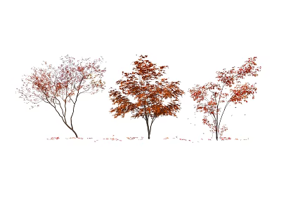 Three Graceful Arbor Trees With Red Autumn Leaves And Falling Foliage 3d model
