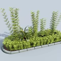 Neatly Arranged Lush Green Shrubs Landscaping With Varied Foliage And Stone Border