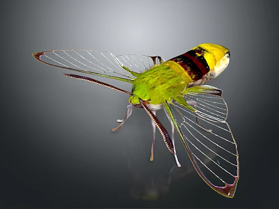 Vibrant Green Yellow Black Insect With Transparent Wings On Dark Background 3d model