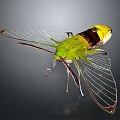 Vibrant Green Yellow Black Insect With Transparent Wings On Dark Background