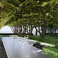 Residential Landscape With Tree Lined Walkway Under Green Canopy Lush Greenery And Seating Area