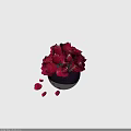 Beautiful Red Roses Arranged in Purple Vase with White Base and Scattered Petals