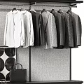Modern Minimalist Closet Interior With Hanging Garments Drawers Shelves And Storage Hats