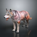 3D Wolf Character Model With Realistic Fur Standing In Dark Background 3d model