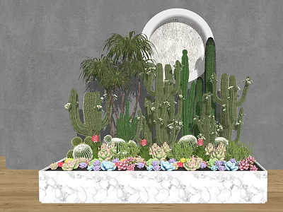 Bonsai Potted Plants With Cacti Succulents And Decorative Marble Base 3d model