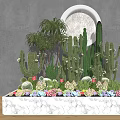 Bonsai Potted Plants With Cacti Succulents And Decorative Marble Base