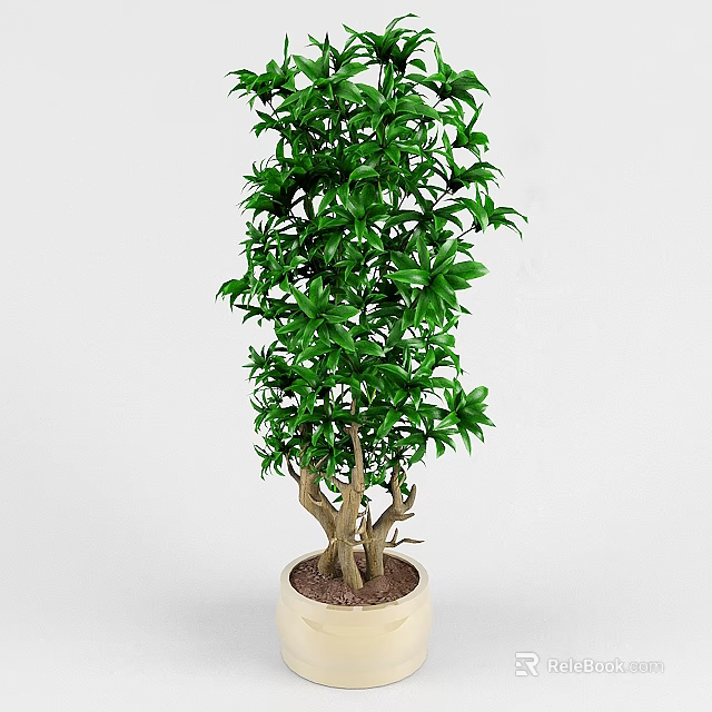 Bonsai Potted Plant With Lush Green Leaves And Brown Trunk In Ceramic Pot 3d model 
