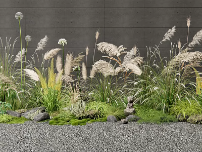 Lush Natural Grasses Garden with Green Moss Stones and Gray Wall Background 3d model