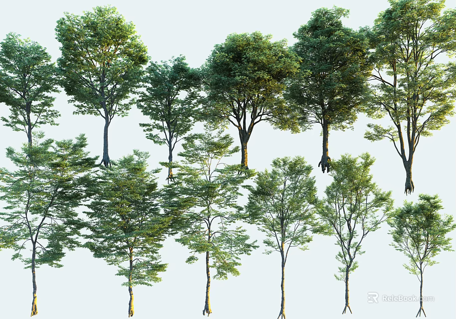 Diverse Arbor Collection With Lush Green Leaves And Various Trunk Shapes 3d model 