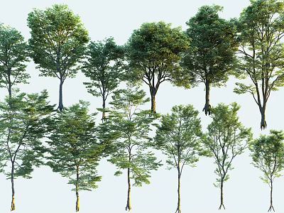 Diverse Arbor Collection With Lush Green Leaves And Various Trunk Shapes 3d model