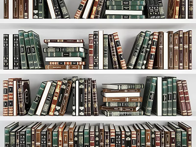 Colorful Books Neatly Arranged On Multiple Shelves With Diverse Spines 3d model