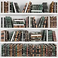 Colorful Books Neatly Arranged On Multiple Shelves With Diverse Spines 3d model