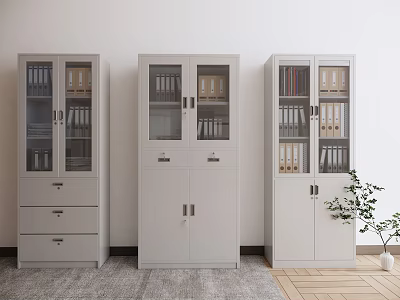 Modern Office Filing Cabinets With Glass Doors Drawers And Storage Solutions 3d model
