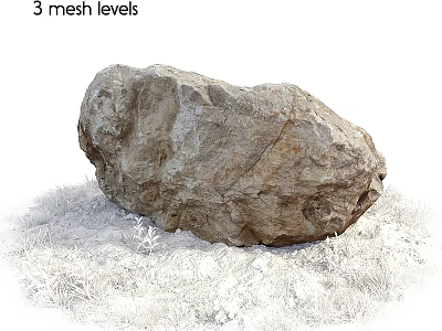 Outdoor Garden Decorative Rock Feature with Natural Green Grass Surroundings 3d model