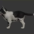 Black And White Cat Plush Toy With Blue Eyes Open Mouth Standing On Dark Background