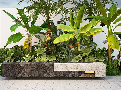Tropical Garden Landscape With Palm Banana Trees Large Green Leaves Stone Bench White Wall Paved Ground 3d model
