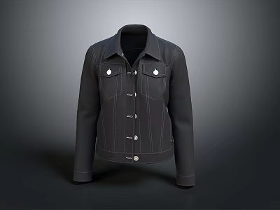 Modern Jacket Women's Jacket Denim Jacket Women's Denim Jacket 3d model