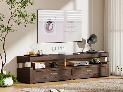 Modern Dark Brown TV Stand With Drawers Shelves Audio Equipment And Camera In Living Room 3d model