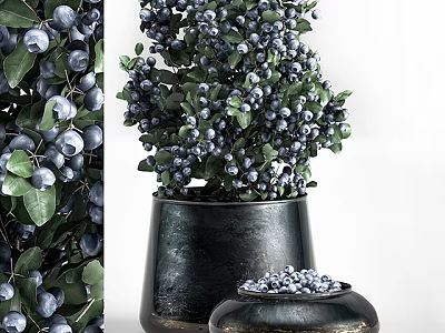 Blueberries In Dark Pot And Small Container With Green Foliage 3d model