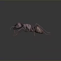 Detailed 3D Render of Ant With Long Antennae and Segmented Body Structure