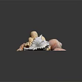 Marine Animal Seashells Collection Featuring Various Shapes Natural Patterns And Colorful Textures