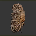 Intricate Wood And Stone Sculpture With Artistic Woven Texture Design