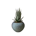 Modern Round Gray Ceramic Pot with Aloe Vera Plant on White Background