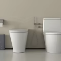 Modern White Toilets With Bidet Sprayer Toilet Paper Holder And Control Panel