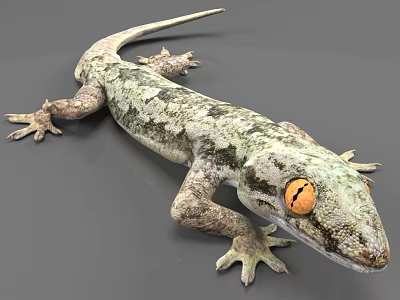 Gray Green Patterned Gecko Reptile With Orange Eyes And Camouflage Skin Texture 3d model