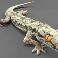 Gray Green Patterned Gecko Reptile With Orange Eyes And Camouflage Skin Texture
