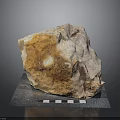 Natural Raw Stone Specimen On Display Base With Measuring Scale And Brown White Texture