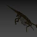 Complete Dinosaur Skeleton Fossil Display With Vertebrae And Limb Bones 3d model