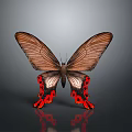 Beautiful Brown Butterfly With Red And Black Spots On Wings Against Gray Background And Reflection