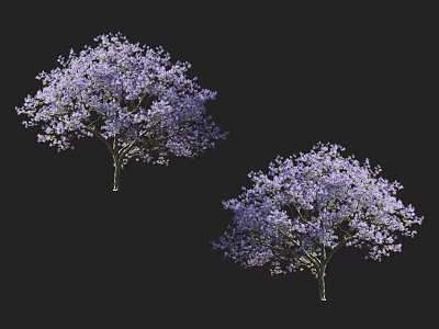 Two Arbor Trees with Lush Purple Flowers Blooming Against Black Background 3d model