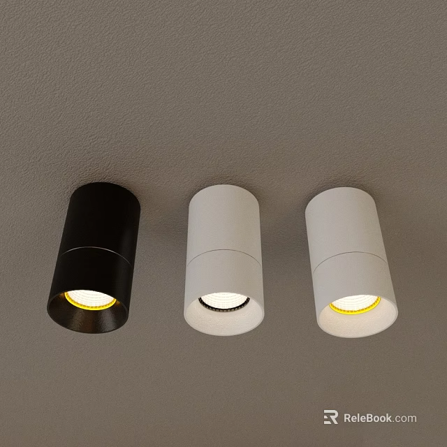 Modern Black And White Downlights Spotlights Ceiling Mounted Lighting Fixtures 3d model 