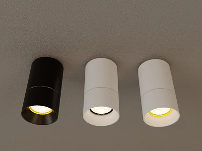 Modern Black And White Downlights Spotlights Ceiling Mounted Lighting Fixtures 3d model