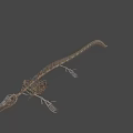 Complete Dinosaur Skeleton Display With Detailed Bone Structure And Fossil Features 3d model
