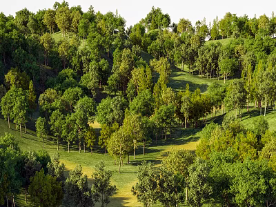 Lush Green Trees Growing On Sloped Grassland Natural Scenic Landscape 3d model