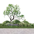 Branched Trunk Tree With Green Foliage Low Shrubs Purple Flowers Grass And Stone Path