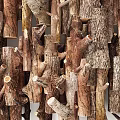 Rustic Wood Branch Wall Decor With Natural Textured Design For Home Interior