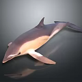 3D Dolphin Model With Gray And White Body In Digital Rendering Scene 3d model