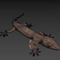 Detailed Brown Gecko Game and Movie Character 3D Model with Large Eyes on Black Background
