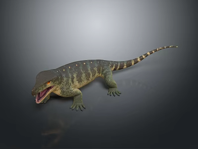 Reptile Lizard With Spotted Body Open Mouth And Long Tail On Gray Background 3d model