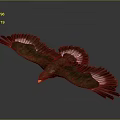 Majestic Eagle Flying With Spread Wings And Brown White Feathers On Grey Background