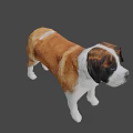 Realistic Saint Bernard Dog 3D Model With Brown And White Fur Standing Pose